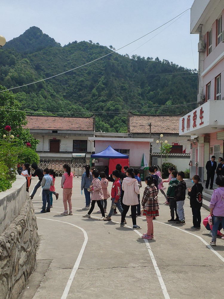 5ec656c7a27e4.jpg 5ec656c7a27e4.jpg