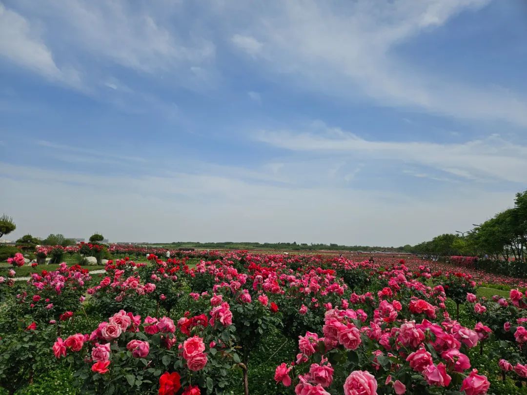 66824bb18ef73.jpg 66824bb18ef73.jpg